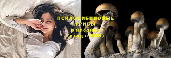 spice Белоозёрский