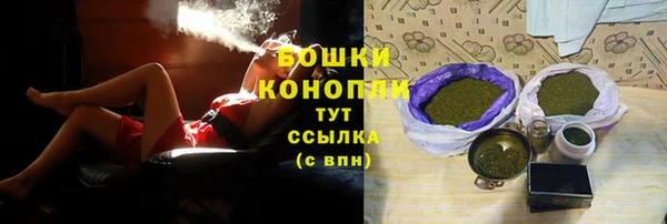 гашик Белокуриха