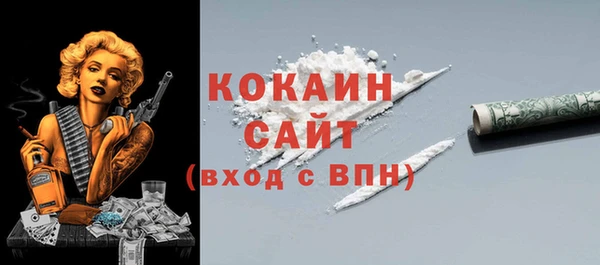 гашик Белокуриха