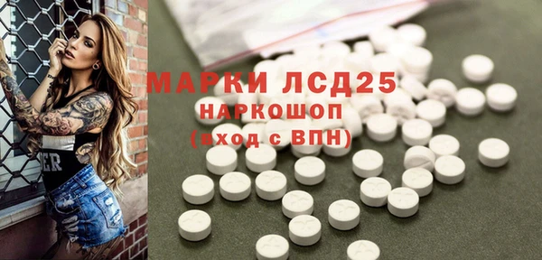 гашик Белокуриха