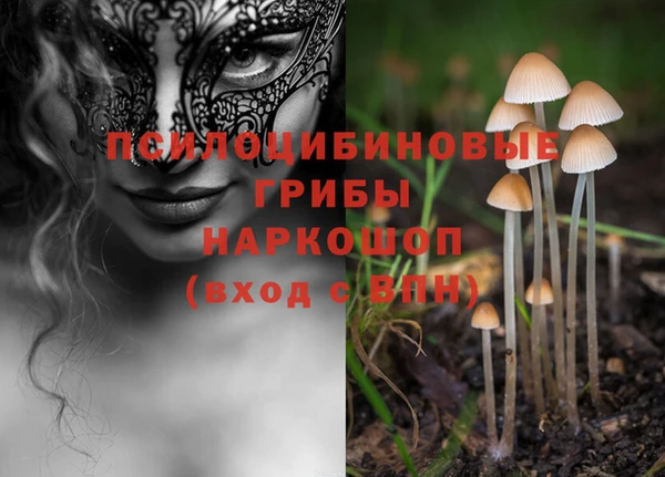 мескалин Беломорск