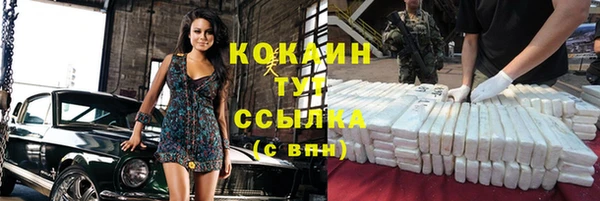 гашик Белокуриха