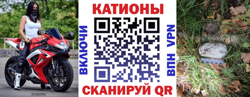 МЯУ-МЯУ VHQ  Елизово 