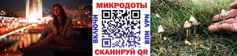 где продают наркотики  Елизово  Галлюциногенные грибы GOLDEN TEACHER 